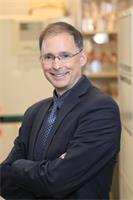 Dr. Gulley